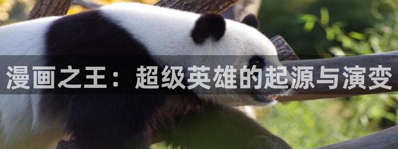 女神漫画笔趣阁全文免费阅读